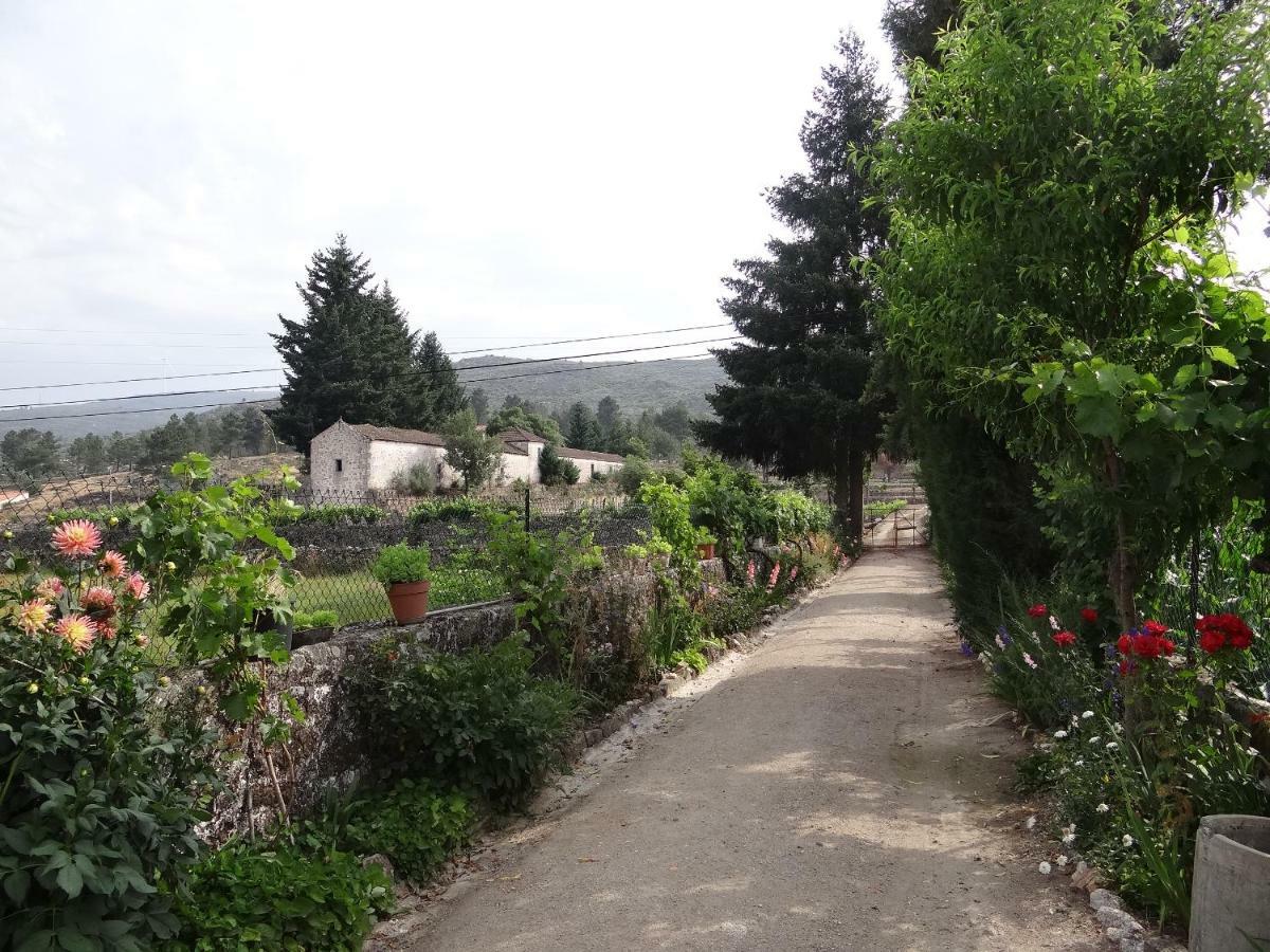 Museu Casa Aleixo Guest House Sernancelhe Exterior photo